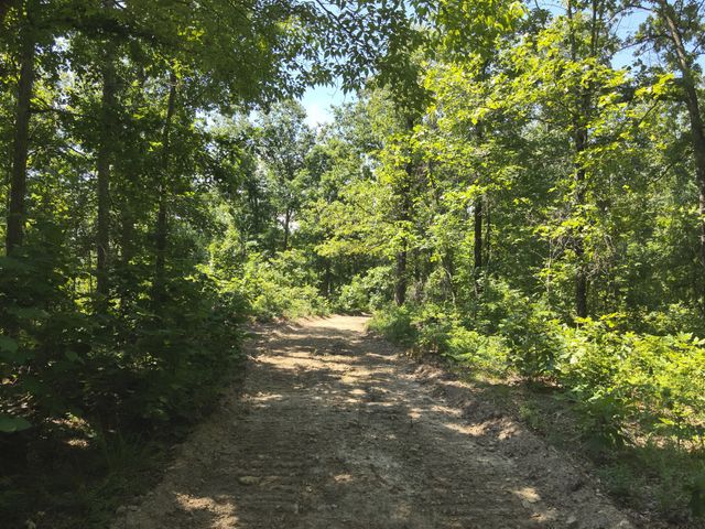 0 Bear Creek Rd, Waverly, TN 37185