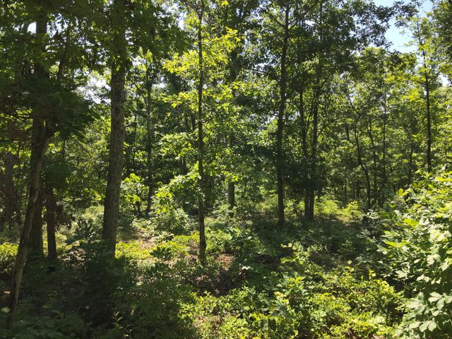 0 Bear Creek Rd, Waverly, TN 37185