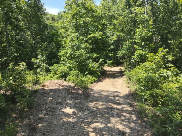 0 Bear Creek Rd, Waverly, TN 37185