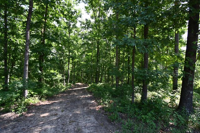 0 Bear Creek Rd, Waverly, TN 37185