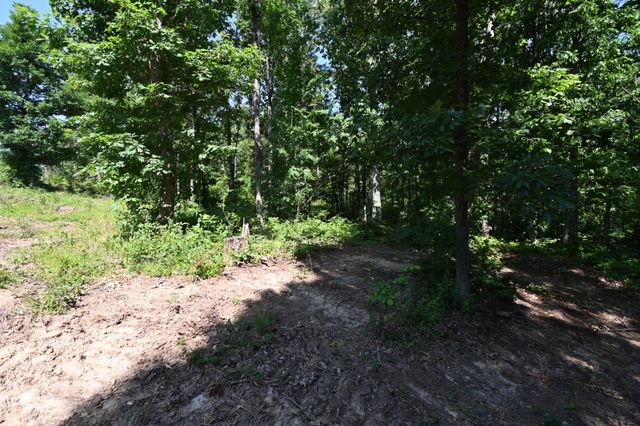 0 Bear Creek Rd, Waverly, TN 37185