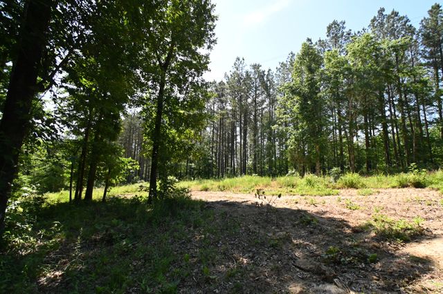 0 Bear Creek Rd, Waverly, TN 37185