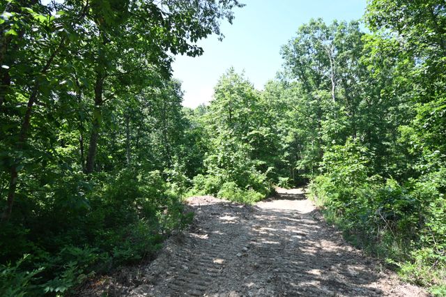 0 Bear Creek Rd, Waverly, TN 37185