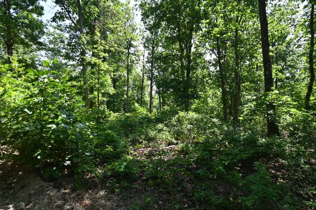 0 Bear Creek Rd, Waverly, TN 37185