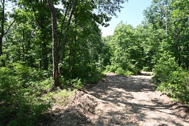 0 Bear Creek Rd, Waverly, TN 37185