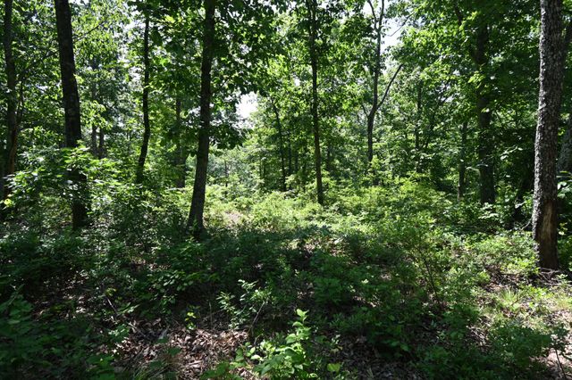 0 Bear Creek Rd, Waverly, TN 37185