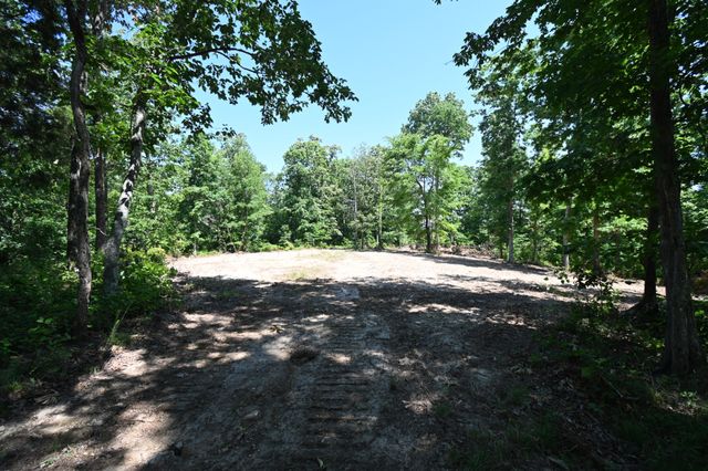 0 Bear Creek Rd, Waverly, TN 37185