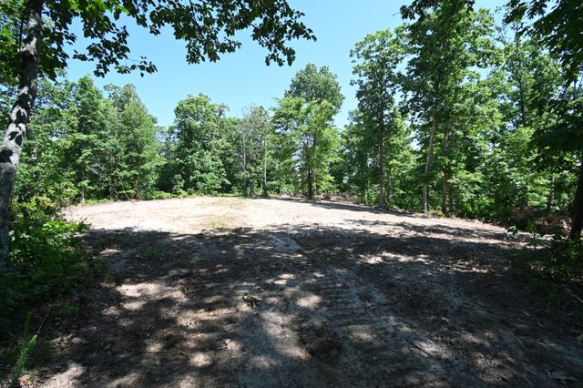 0 Bear Creek Rd, Waverly, TN 37185