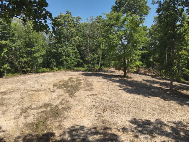0 Bear Creek Rd, Waverly, TN 37185