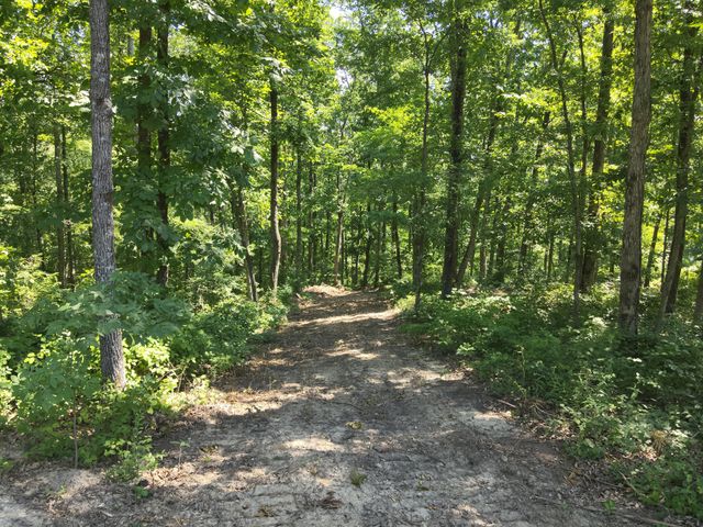 0 Bear Creek Rd, Waverly, TN 37185