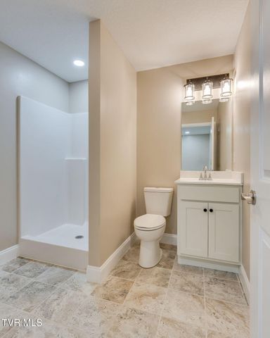 108 Hunters Run Lane, Mount Carmel, TN 37645