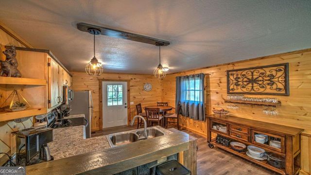 141 Mountain Rivers Road, Mineral Bluff, GA 30559