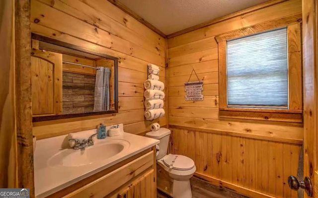 141 Mountain Rivers Road, Mineral Bluff, GA 30559