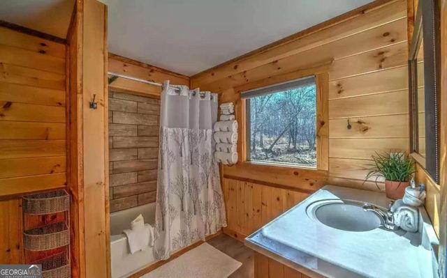 141 Mountain Rivers Road, Mineral Bluff, GA 30559