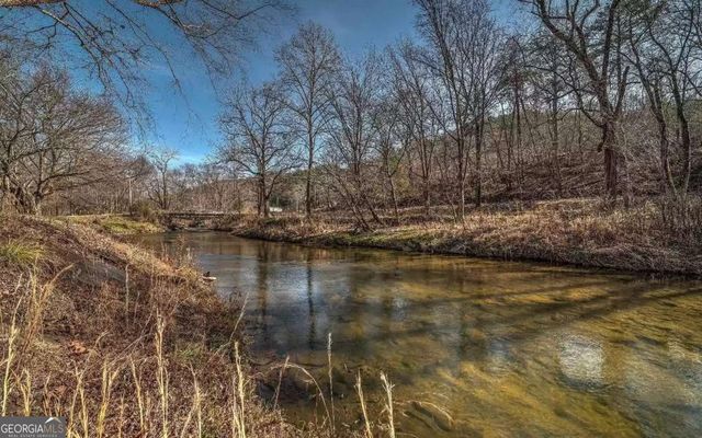 141 Mountain Rivers Road, Mineral Bluff, GA 30559