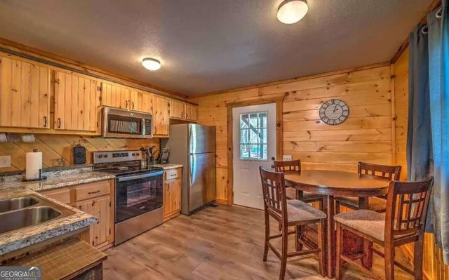 141 Mountain Rivers Road, Mineral Bluff, GA 30559