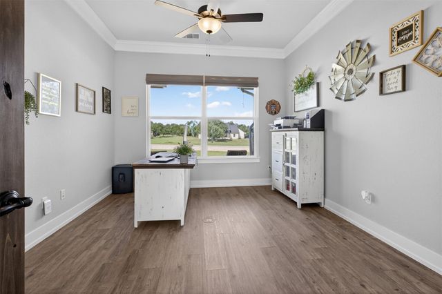 317 Esperanza Petal PASS, Liberty Hill, TX 78642