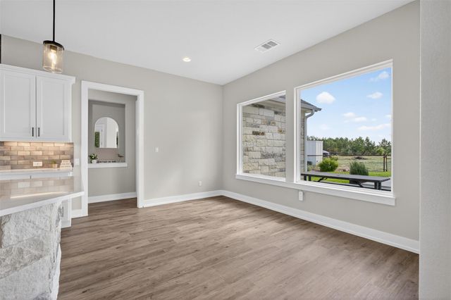 317 Esperanza Petal PASS, Liberty Hill, TX 78642
