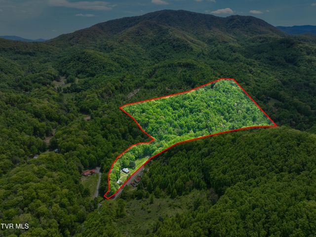 275 Tiger Creek Road, Roan Mountain, TN 37687