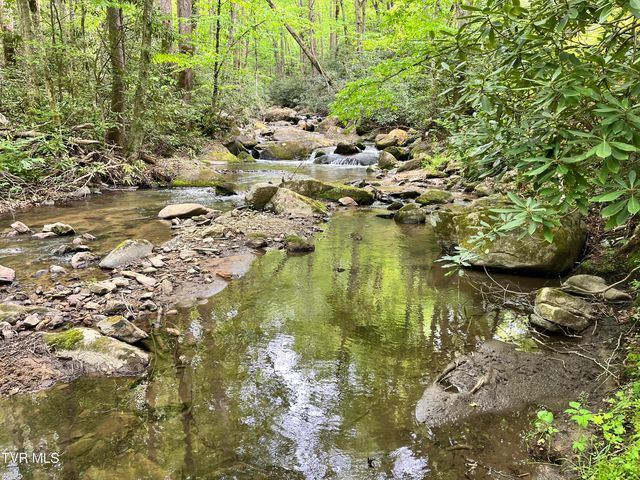 275 Tiger Creek Road, Roan Mountain, TN 37687