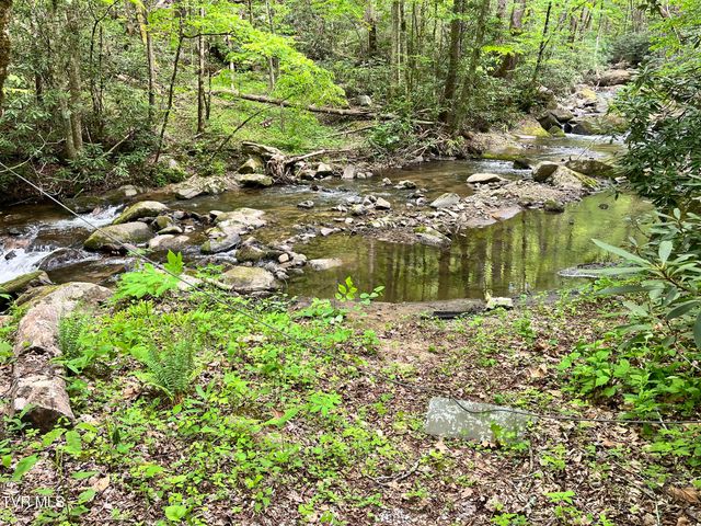 275 Tiger Creek Road, Roan Mountain, TN 37687