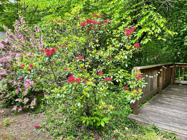 275 Tiger Creek Road, Roan Mountain, TN 37687