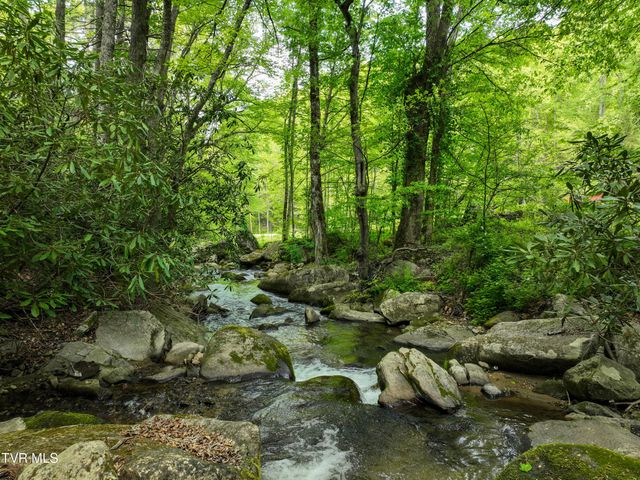 275 Tiger Creek Road, Roan Mountain, TN 37687