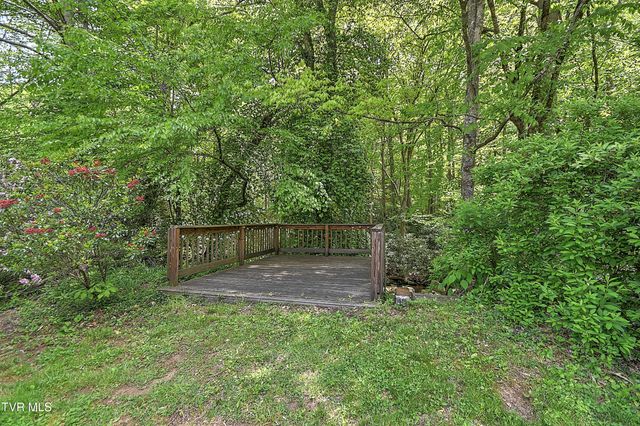 275 Tiger Creek Road, Roan Mountain, TN 37687
