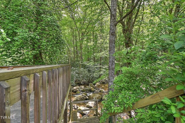 275 Tiger Creek Road, Roan Mountain, TN 37687