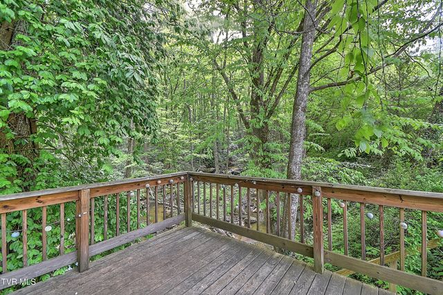 275 Tiger Creek Road, Roan Mountain, TN 37687