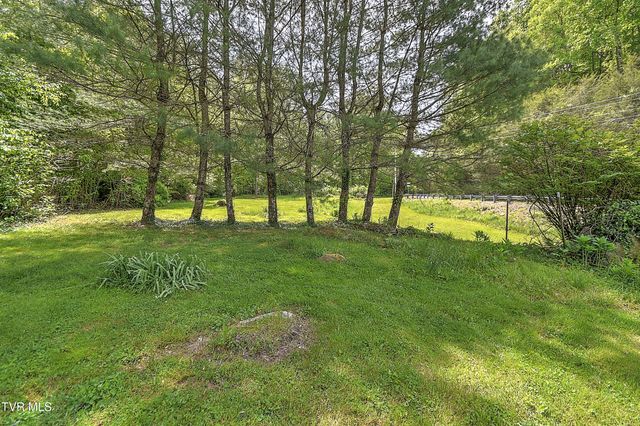 275 Tiger Creek Road, Roan Mountain, TN 37687