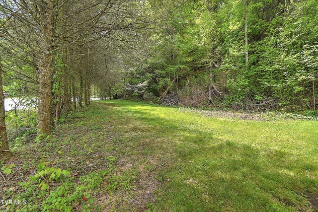 275 Tiger Creek Road, Roan Mountain, TN 37687