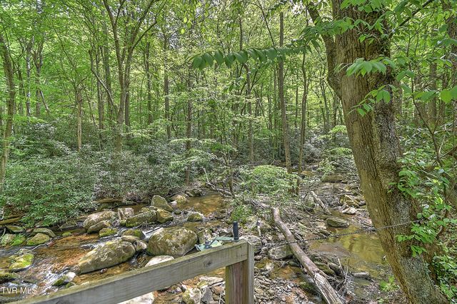 275 Tiger Creek Road, Roan Mountain, TN 37687