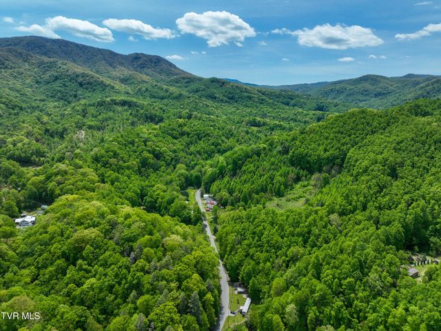 275 Tiger Creek Road, Roan Mountain, TN 37687