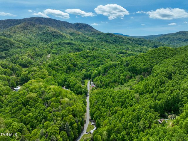 275 Tiger Creek Road, Roan Mountain, TN 37687