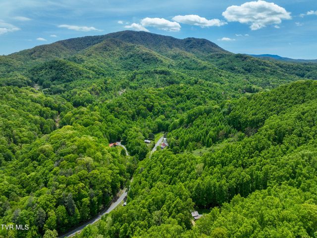 275 Tiger Creek Road, Roan Mountain, TN 37687