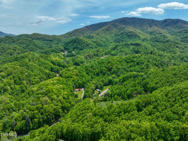 275 Tiger Creek Road, Roan Mountain, TN 37687