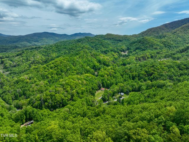275 Tiger Creek Road, Roan Mountain, TN 37687