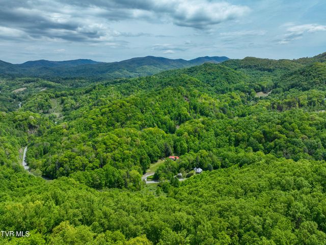 275 Tiger Creek Road, Roan Mountain, TN 37687
