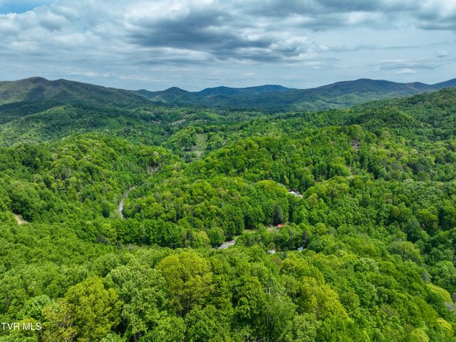 275 Tiger Creek Road, Roan Mountain, TN 37687