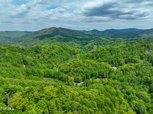 275 Tiger Creek Road, Roan Mountain, TN 37687
