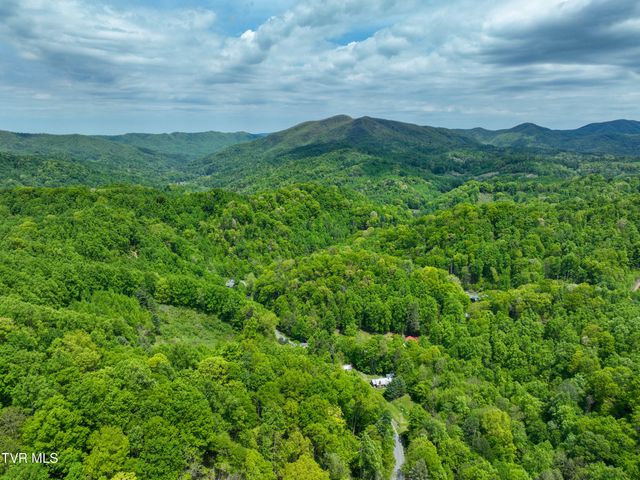 275 Tiger Creek Road, Roan Mountain, TN 37687