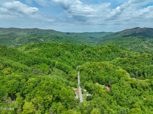 275 Tiger Creek Road, Roan Mountain, TN 37687