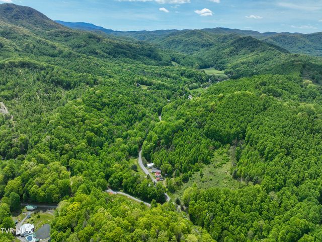 275 Tiger Creek Road, Roan Mountain, TN 37687