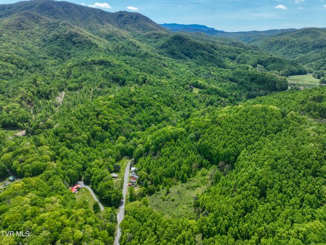 275 Tiger Creek Road, Roan Mountain, TN 37687