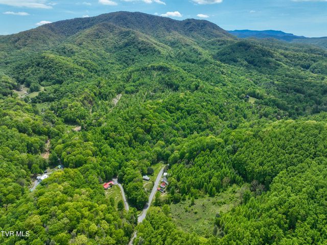 275 Tiger Creek Road, Roan Mountain, TN 37687