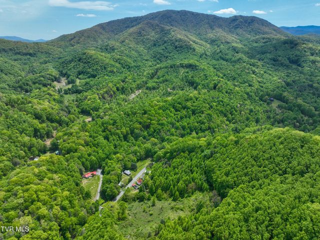 275 Tiger Creek Road, Roan Mountain, TN 37687