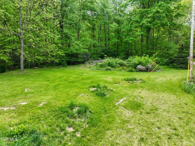 275 Tiger Creek Road, Roan Mountain, TN 37687