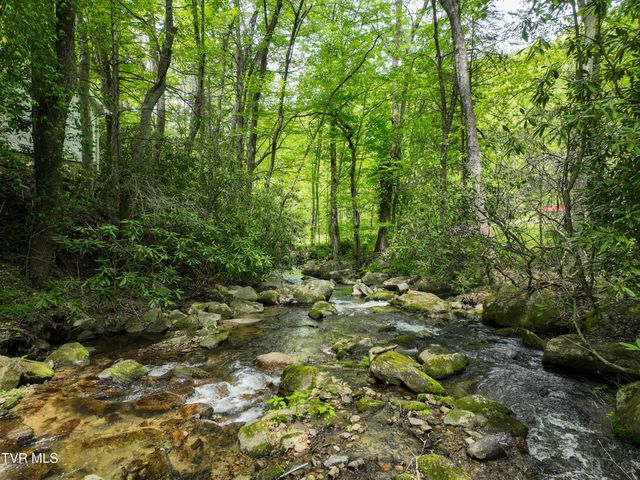 275 Tiger Creek Road, Roan Mountain, TN 37687
