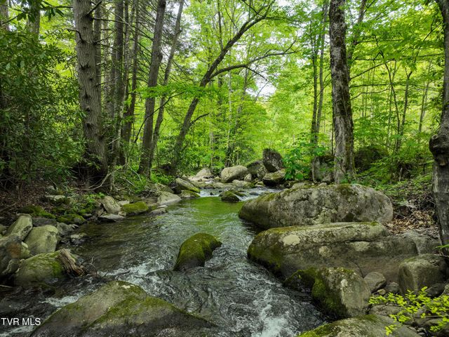 275 Tiger Creek Road, Roan Mountain, TN 37687